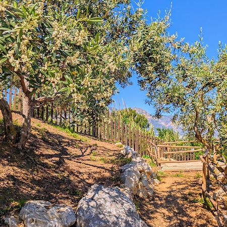 Ci Vulia B&B - Sicilia Sea, Pool, Bbq, Tv, Wi-Fi Alcamo Marina Ngoại thất bức ảnh